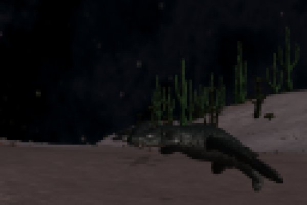 Kra37.cc