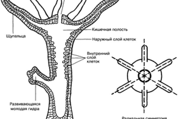 Где взять ссылку на кракен kraken014 com