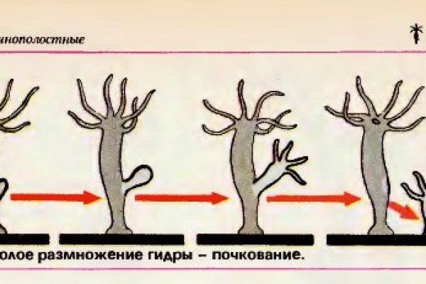 Кракен точка ат